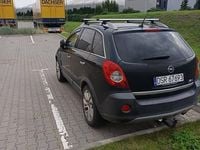 Obraz 3