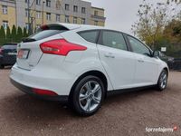 używany Ford Focus 