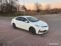 Obraz 3