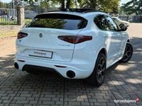 Używany Alfa Romeo Stelvio 2021 Biały SUV