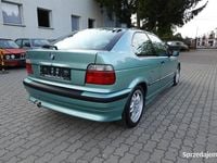 Obraz 3