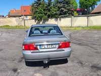 Obraz 3