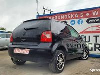 Obraz 3