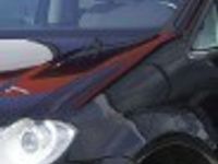 Obraz 3