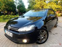 Obraz 3
