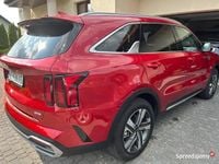 Używany Kia Sorento EX 2023 SUV
