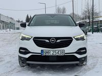 Używany Opel Grandland X 130 KM (95 kW) 2019 Biały (metalik) SUV