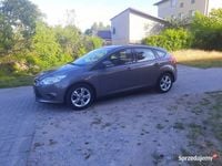 Używany Ford Focus 2011 Beżowy Hatchback