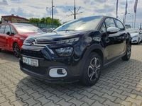 Obraz 3