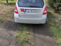 Obraz 2