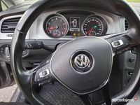 Używany VW Golf VII 2014 Hatchback