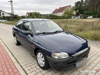 Obraz 3