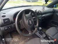 Obraz 2