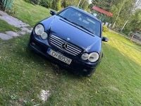 Obraz 3