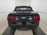 używany Ford Mustang MustangEcoBoost Premium VI (2014-)