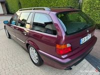 Obraz 3