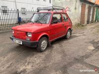 Obraz 1