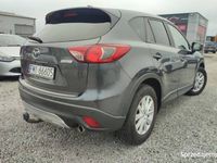 Obraz 3