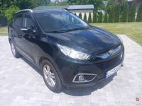 Obraz 3