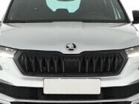 używany Skoda Karoq  1. Właściciel, Serwis ASO, Automat, Navi, Klimatronic,