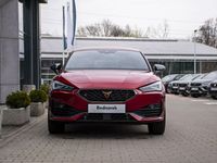 używany Cupra Leon 1.5dm 150KM 2023r. 5km