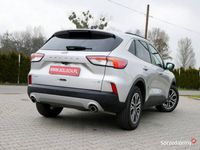 używany Ford Kuga Escape 1.5 E-Boost 180KM Eu6 SEL 4x4 AWD -Automat…