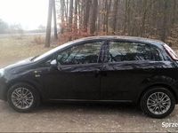 używany Fiat Punto 1.2 68 KM