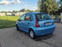 Obraz 3