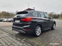 Obraz 3