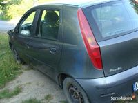 Obraz 3
