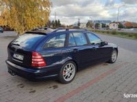 Obraz 3