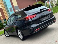 Obraz 3