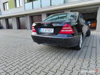 Obraz 2