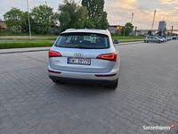 Obraz 3