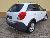 Obraz 3