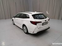 Obraz 1