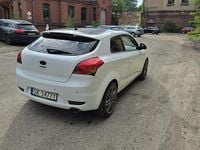 Obraz 3