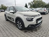 Obraz 1