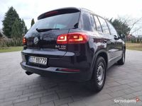 Obraz 3