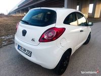 Obraz 2