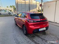 Obraz 3