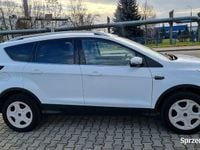 Używany Ford Kuga 2019 Biały SUV