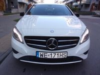 Obraz 1