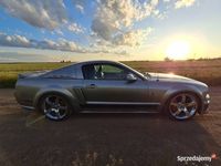 Używany Ford Mustang GT 2006