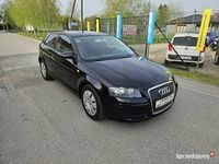 używany Audi A3 Opłacony Zdrowy Zadbany Serwisowany MPI Po Serwisie 8P (2003-2012)