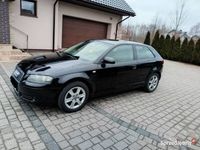 Używany Audi A3 2004 Hatchback