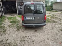 Obraz 3