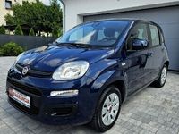 Obraz 1