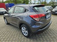 Obraz 3