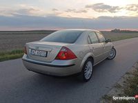 Obraz 3